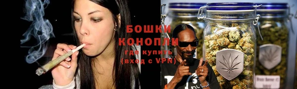 мдпв Надым
